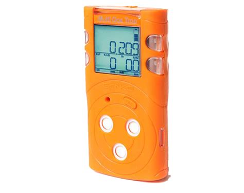 Fixed Online Gas Detector convenience store|fixed gas detectors vs portable.